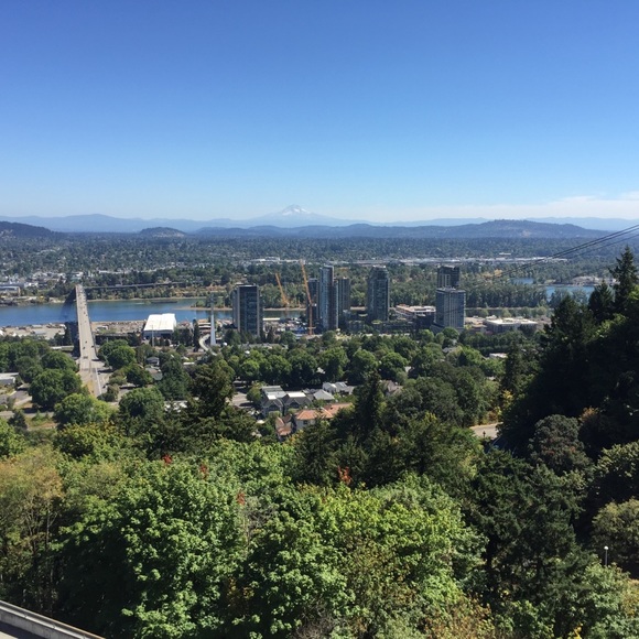 Meet your Posher, Sarah - Picture 1 of 1